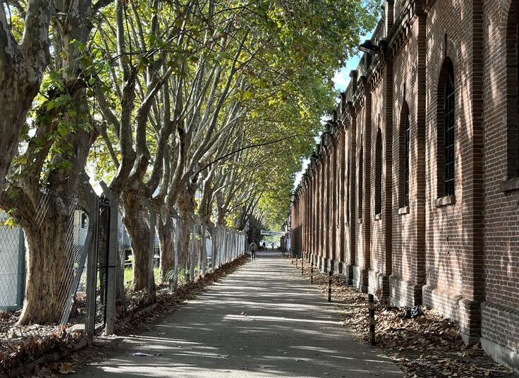 Paisajes esquizofrénicos: Una mirada crítica de Gabriel Burgueño