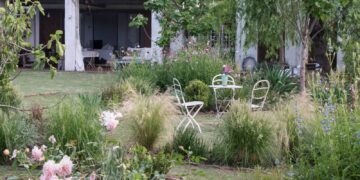 5 plantas nativas argentinas que son tendencia en paisajismo 2026