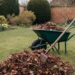 Mulching de laurel: el secreto del Museo de Arte Decorativo para nutrir el suelo gratis