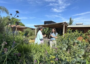 La magia de lo nativo: el jardín de Florence y la biodiversidad que volvió a aparecer