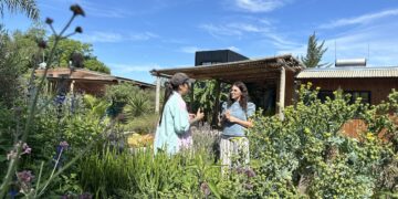 La magia de lo nativo: el jardín de Florence y la biodiversidad que volvió a aparecer