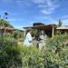 La magia de lo nativo: el jardín de Florence y la biodiversidad que volvió a aparecer