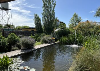 El jardín de Florence en Escobar: una casa, una biopiscina y un paisaje pensado para vivir más cerca de la naturaleza