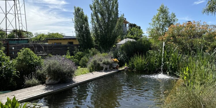 El jardín de Florence en Escobar: una casa, una biopiscina y un paisaje pensado para vivir más cerca de la naturaleza