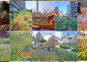 Nigel Dunnett: Se fue un maestro del naturalismo y las redes sociales se hicieron eco con emoción.