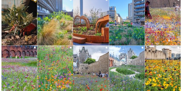 Nigel Dunnett: Se fue un maestro del naturalismo y las redes sociales se hicieron eco con emoción.