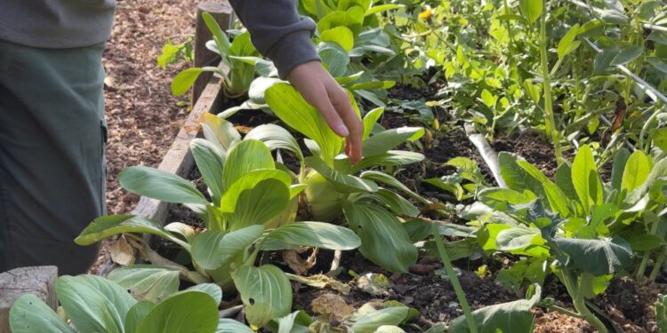 La revolución de la autonomía: ¿Es posible vivir de lo que cultivamos?