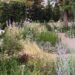 Recorriendo jardines: La evolución del paisaje, del verde monocromático al estallido de color de la mano de Rapa Paisaje