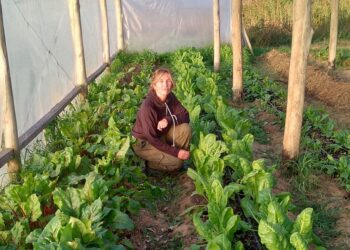 Buen manejo, experiencia y mucho trabajo detrás de Las Bayas huerta orgánica