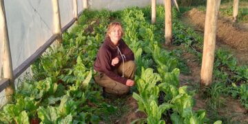Buen manejo, experiencia y mucho trabajo detrás de Las Bayas huerta orgánica