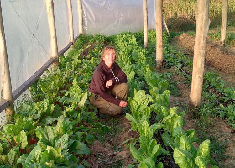 Buen manejo, experiencia y mucho trabajo detrás de Las Bayas huerta orgánica