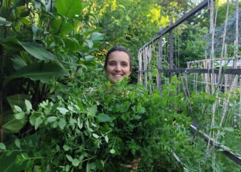 Visitamos “Mi casa Camina”: una mamá que empezó a cultivar para consumo familiar y termino creando un planificador de huerta
