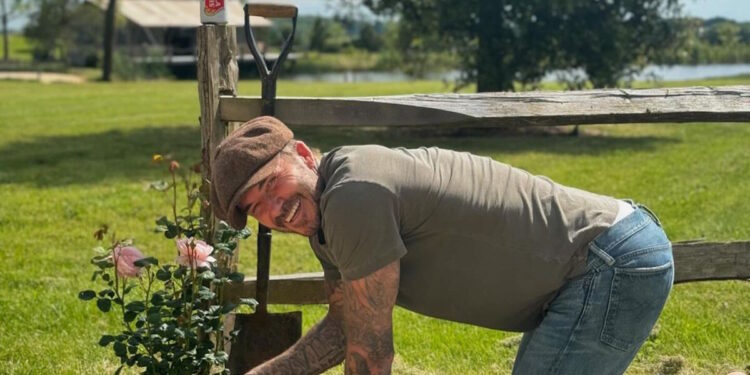 ¿Quién no querría a David Beckham en su jardín?