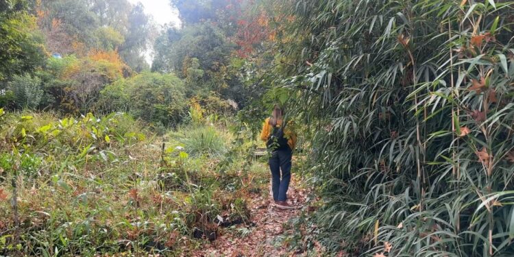 La historia de Chola López Varela, la mujer que revolucionó la jardinería con un vivero que nació cuando tenía 50 años