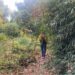 La historia de Chola López Varela, la mujer que revolucionó la jardinería con un vivero que nació cuando tenía 50 años