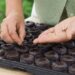 Pastillas de turba comprimida: una solución práctica para germinar semillas y multiplicar plantas