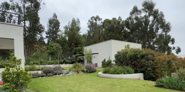 Un jardín donde cada desafío terminó convirtiéndose en una oportunidad