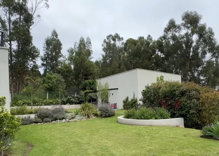 Un jardín donde cada desafío terminó convirtiéndose en una oportunidad