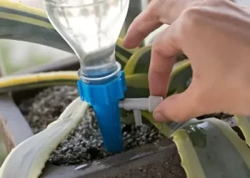 Del campo al jardín, un sistema de fertirriego para regar y fertilizar al mismo tiempo