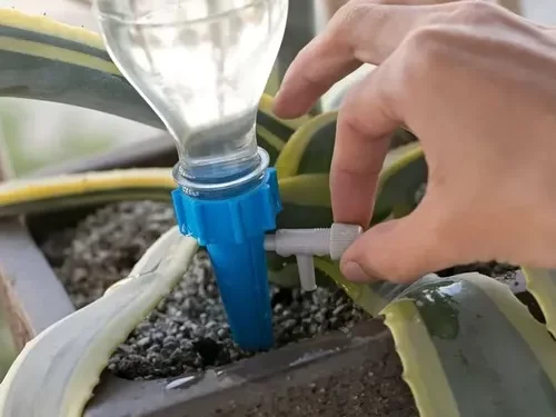Del campo al jardín, un sistema de fertirriego para regar y fertilizar al mismo tiempo