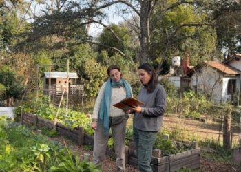 Cuatro aprendizajes de la huerta de invierno que nos hubiera gustado saber antes