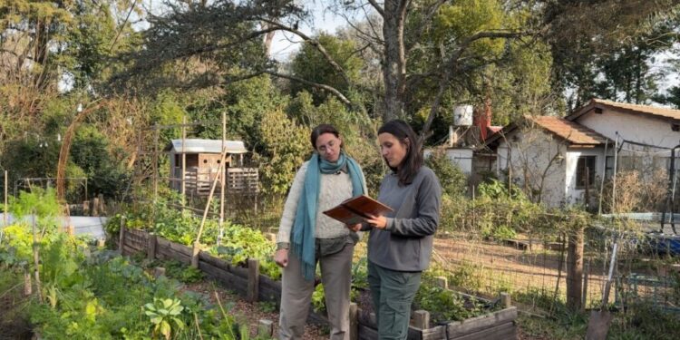 Cuatro aprendizajes de la huerta de invierno que nos hubiera gustado saber antes
