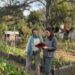 Cuatro aprendizajes de la huerta de invierno que nos hubiera gustado saber antes