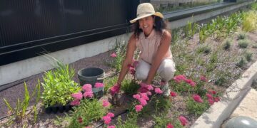 De Raíz: cómo funciona un jardín plantado en arena