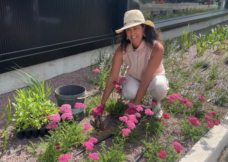 De Raíz: cómo funciona un jardín plantado en arena