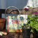 Mi primer jardín, un libro para descubrir el jardín desde las primeras preguntas