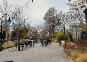 En Mendoza: De fábrica a espacio de encuentro, el paisajismo detrás de Planta Uno