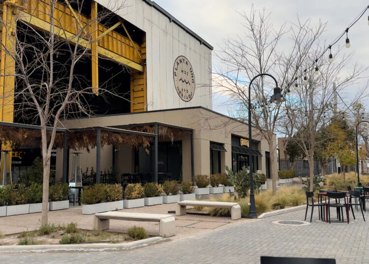 En Mendoza: De fábrica a espacio de encuentro, el paisajismo detrás de Planta Uno
